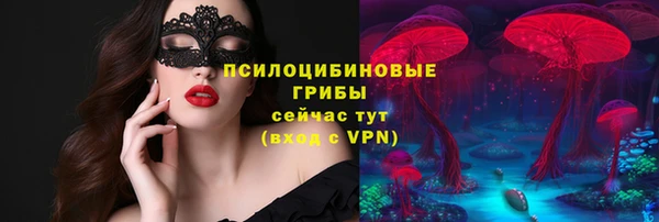 эйфоретик Каменка