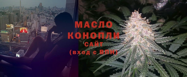 эйфоретик Каменка