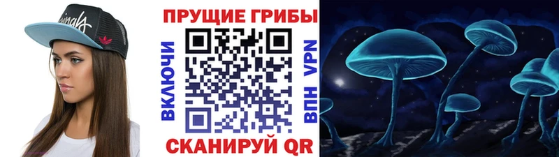 Купить закладки  Великие Луки  Псилоцибиновые грибы Cubensis 